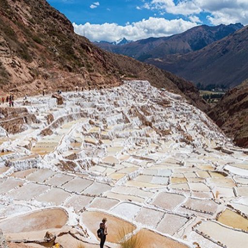 WhatsApp Image 2019-02-15 at 17.54.26 (1)