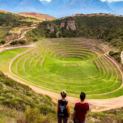 WhatsApp Image 2019-02-15 at 17.54.26