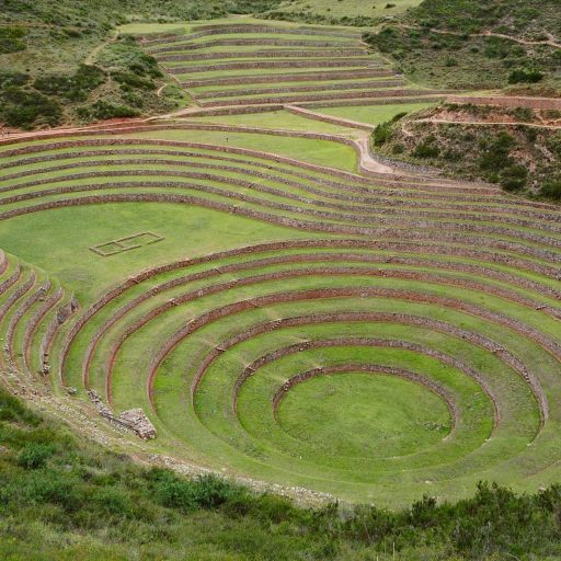 WhatsApp Image 2019-02-15 at 17.54.28 (1)