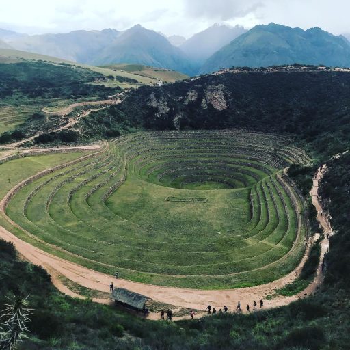 WhatsApp Image 2019-02-15 at 17.54.30 (2)