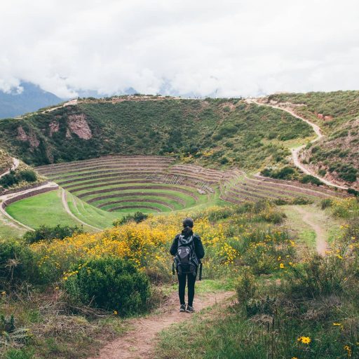 WhatsApp Image 2019-02-15 at 17.54.32 (1)