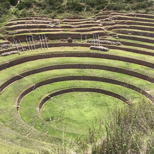 WhatsApp Image 2019-02-15 at 18.35.57