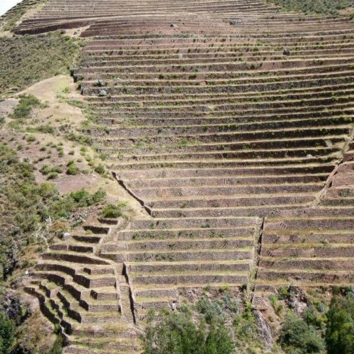 c46234c68f421eb470d97d67ff287794