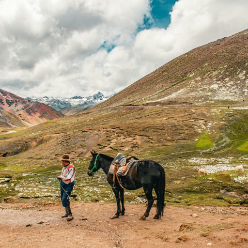 pexels-cristhians_art-191861352-27175092